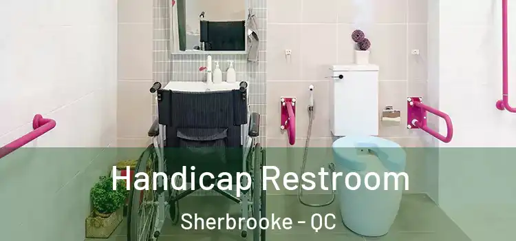  Handicap Restroom Sherbrooke - QC